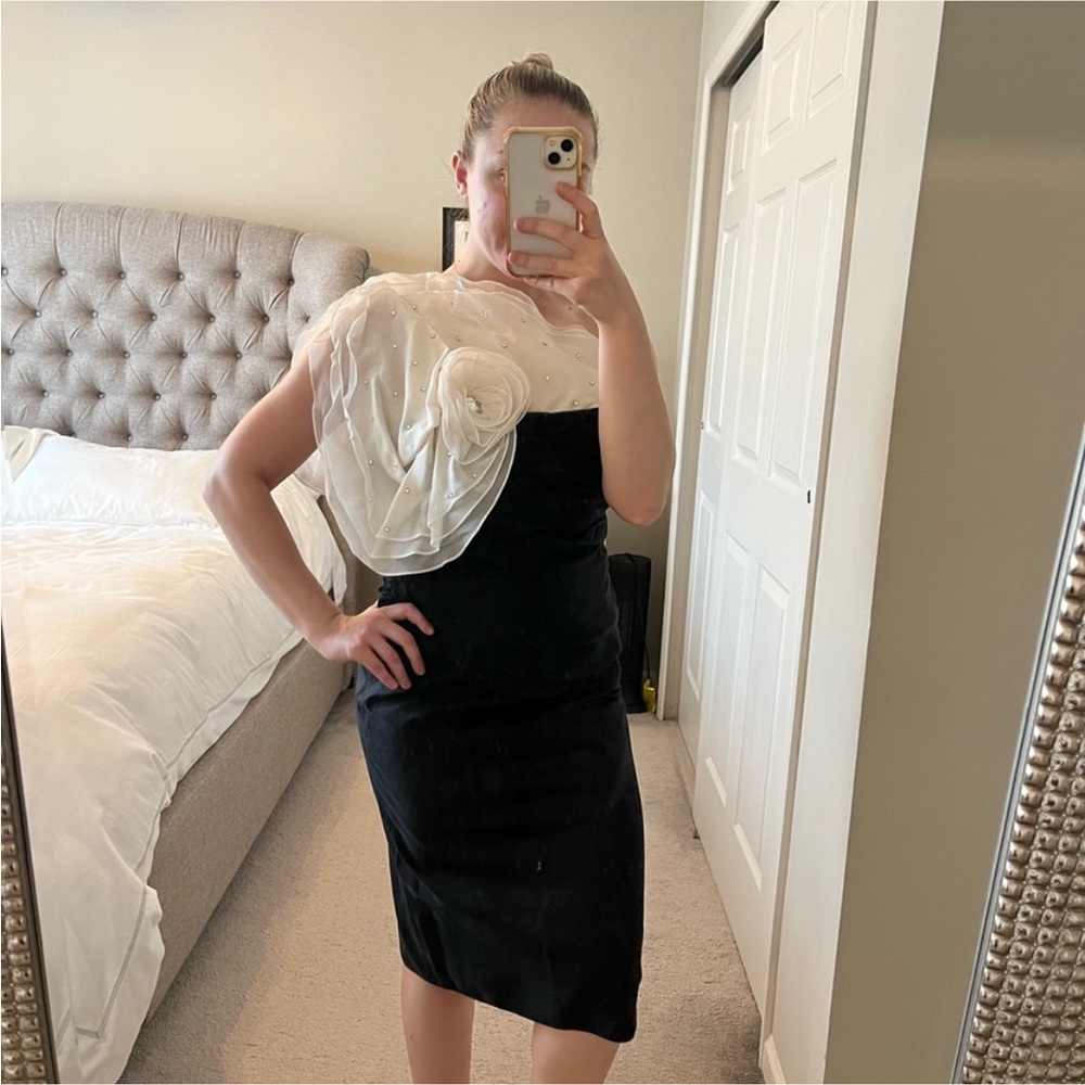 Tadashi Elegant Dress